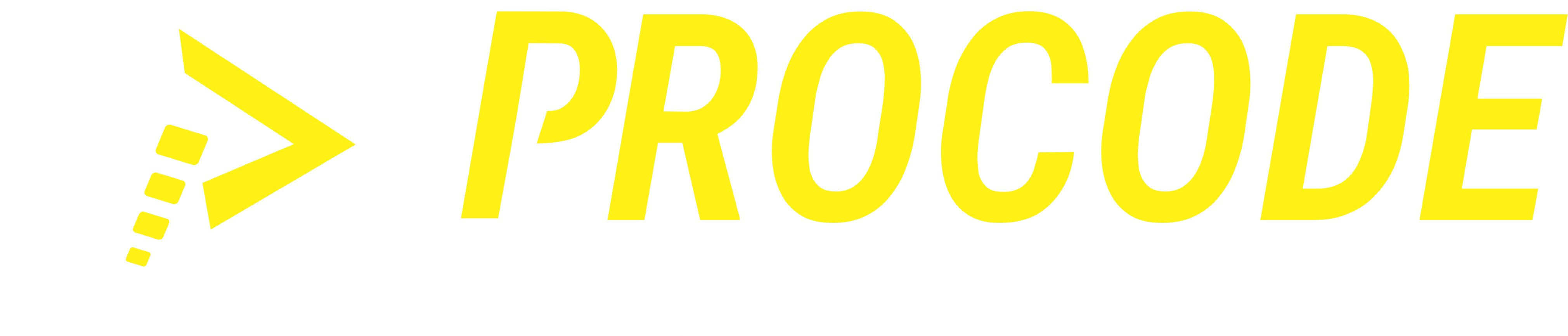 ProCode logo